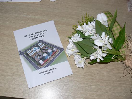 孝感保鮮蔬菜與冷藏建設項目可行性研究報告